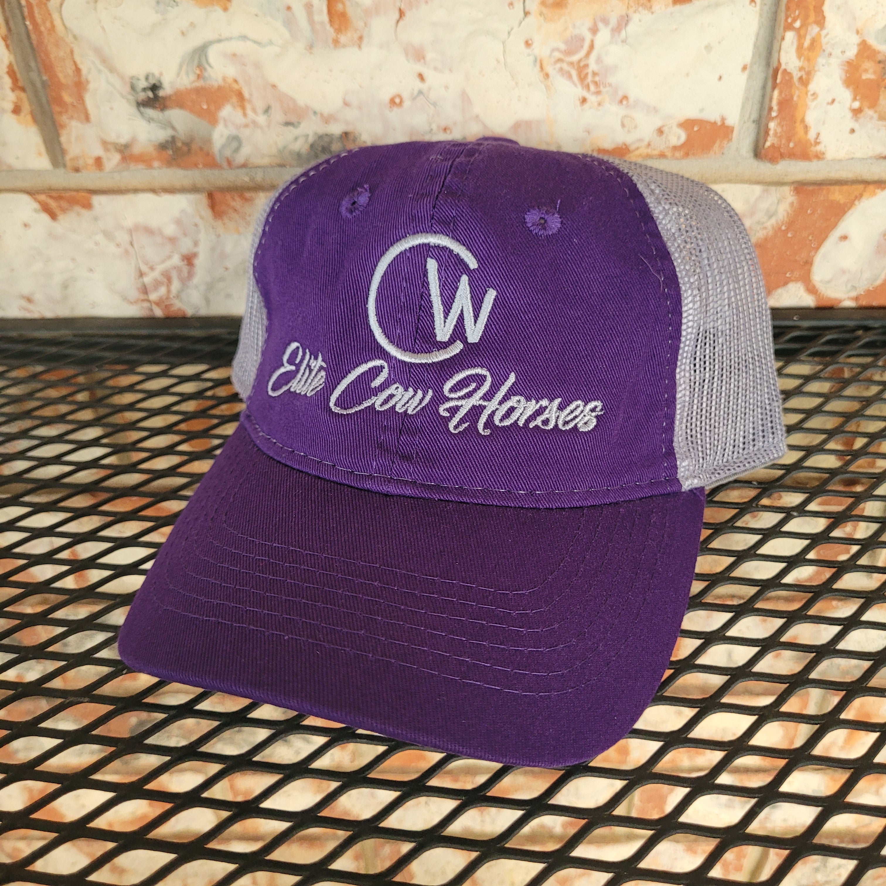 Purple & Silver Ball Cap