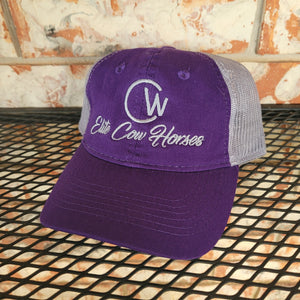 Purple & Silver Ball Cap