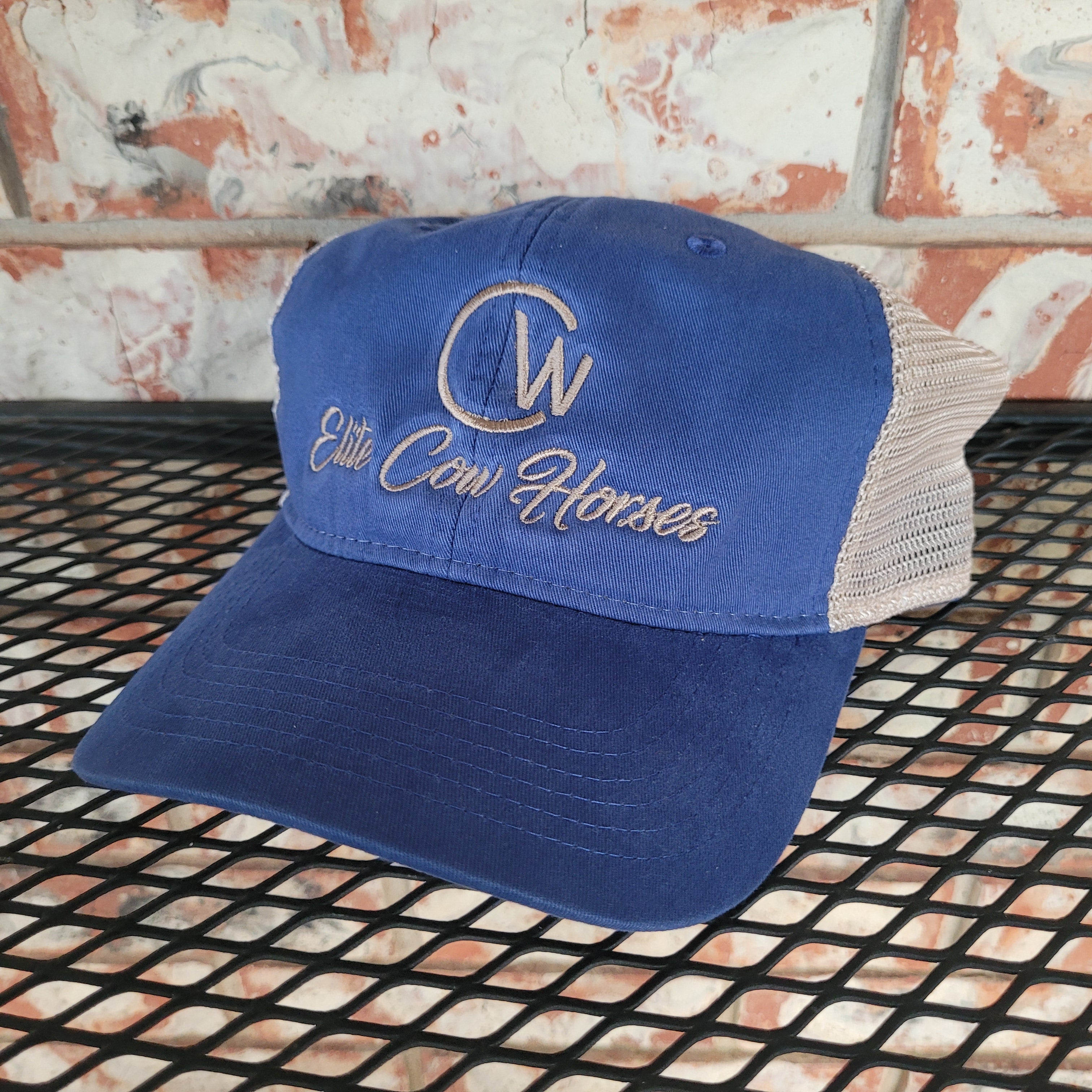 Ocean Blue & Tan Ball Cap