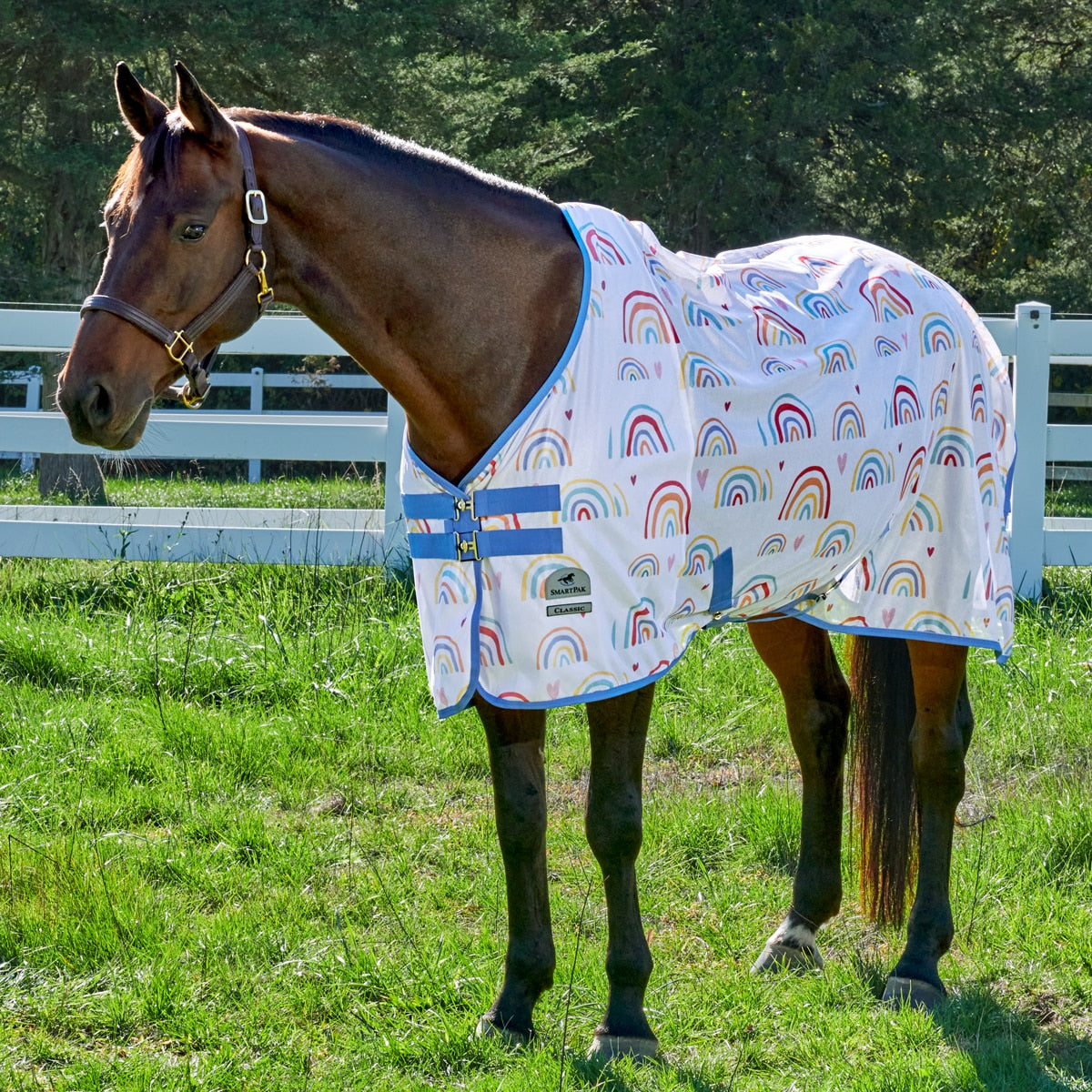 Rainbow Print Fly Sheet & Light Blue Hood