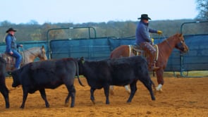 50ml Drench Gun for Livestock