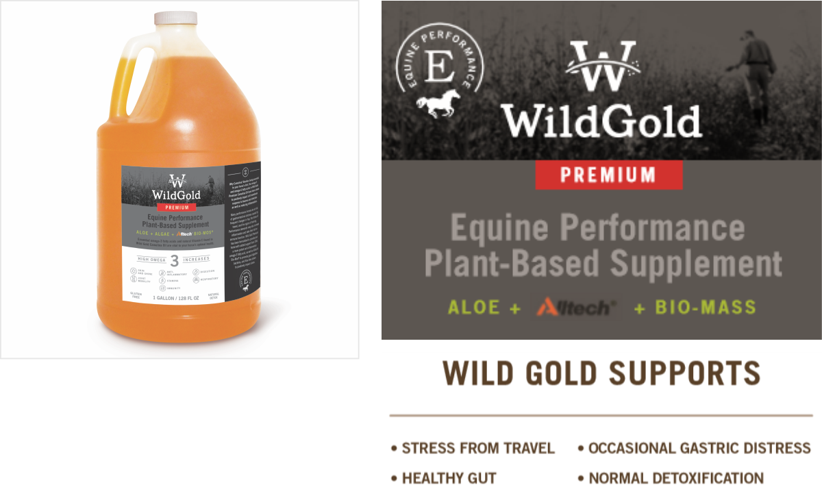 Wild Gold Premium Cold-Pressed Camelina Oil Equine – 1 Gallon