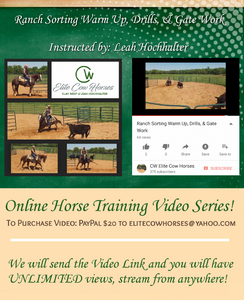 Online Training Video: Ranch Sorting Training Tips