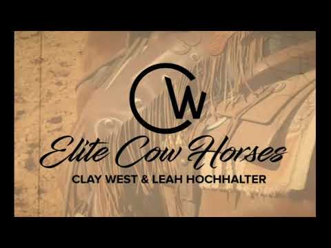 Online Training Video: Working The Mechanical Cow with Clay West