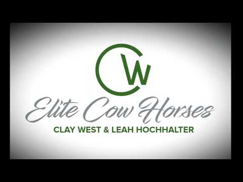 Online Training Video: Advanced Ranch Sorting Techniques with Clay West