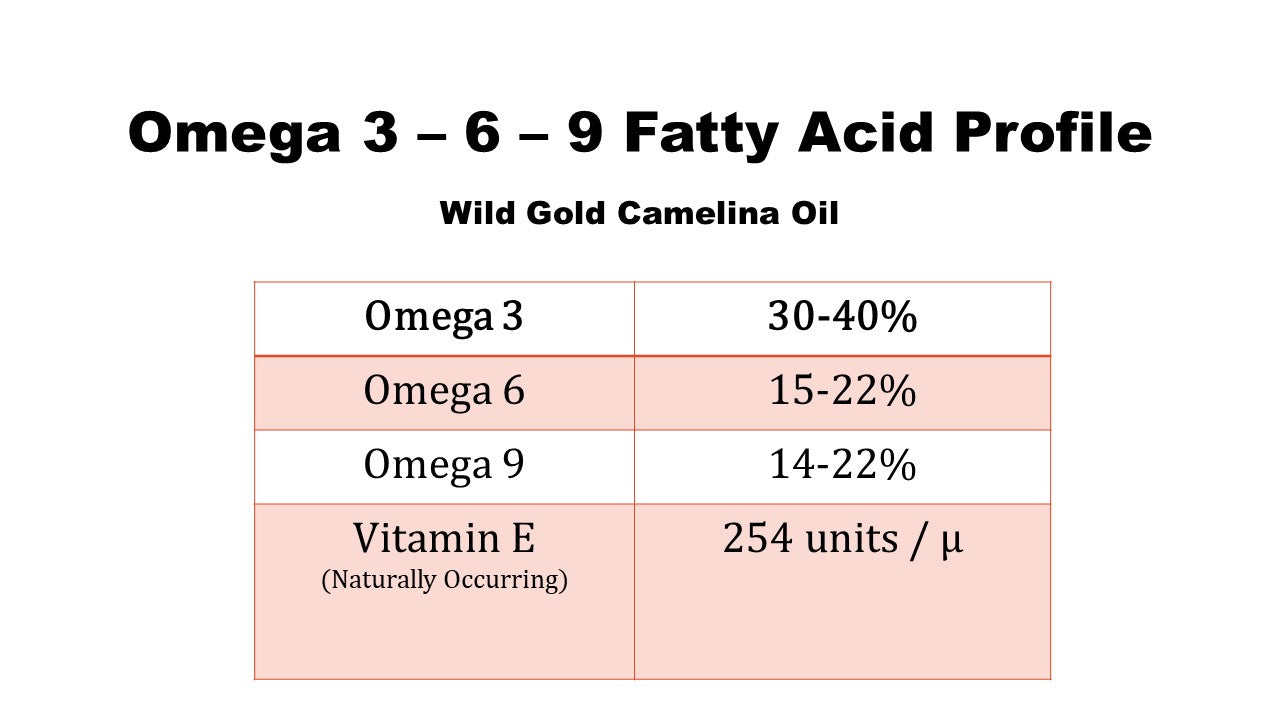Wild Gold Premium Cold-Pressed Camelina Oil Equine – 5 Gallon